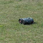 Schaf und Roboter